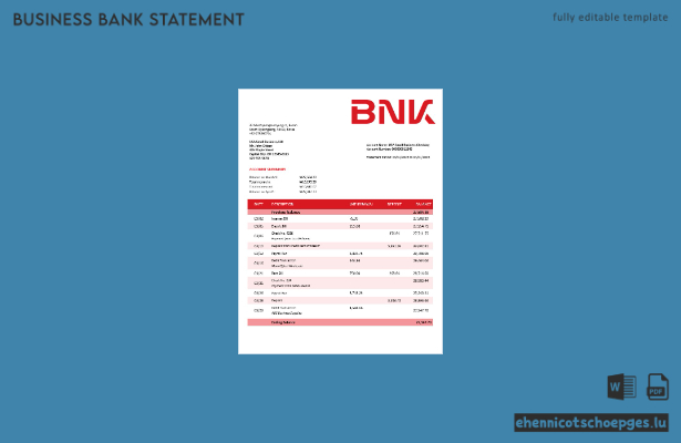 BNK Financial Group Unternehmensbericht – Beispielansicht (Word und PDF)